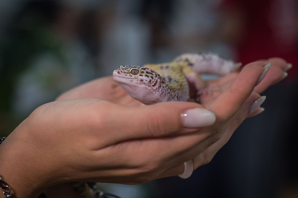 Photograph by Денис Винокуров