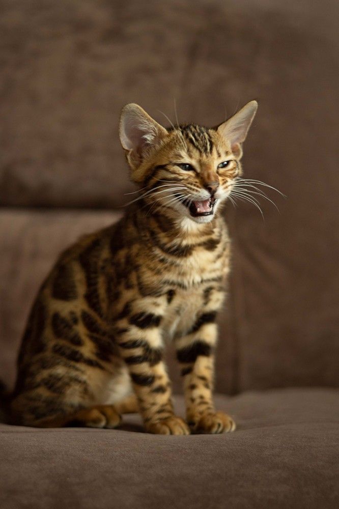 Photograph by Maria Zhdanova