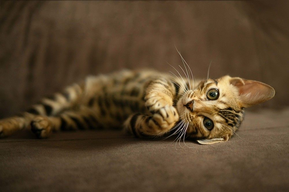 Photograph by Maria Zhdanova