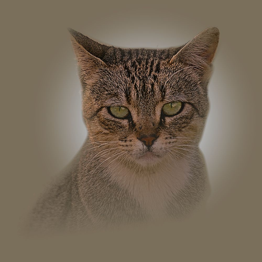 Photograph by Moulay Ahmed KASSI