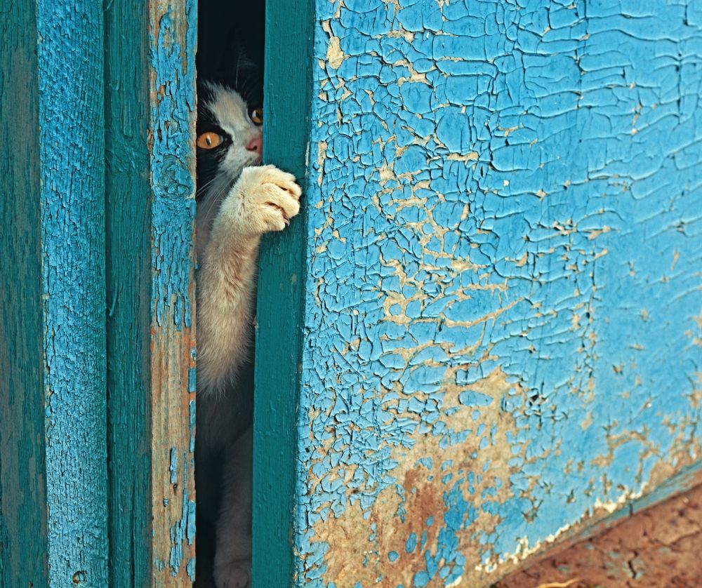 Photograph by Карина Плахова