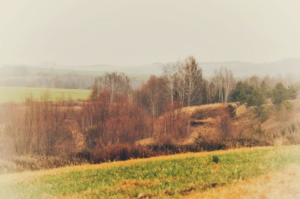 Photograph by Николай Круглов