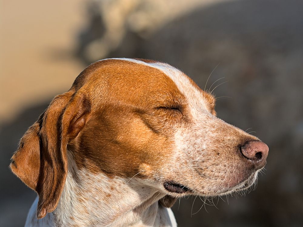 Photograph by Moulay Ahmed KASSI