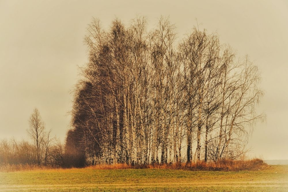 Photograph by Николай Круглов