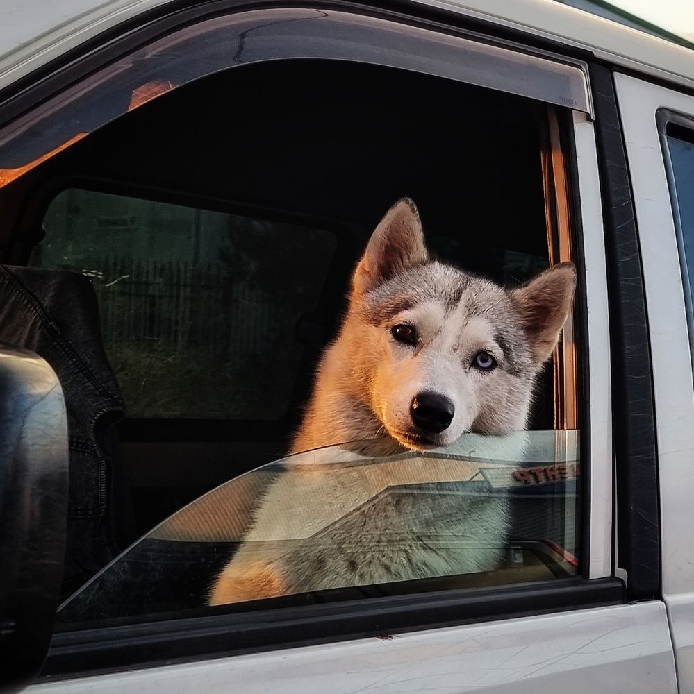 Photograph by Гельфман Галина