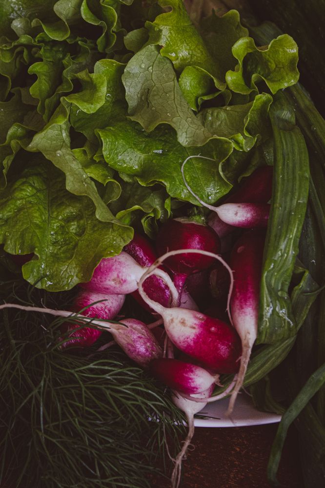 Photograph by Anna Dubinina