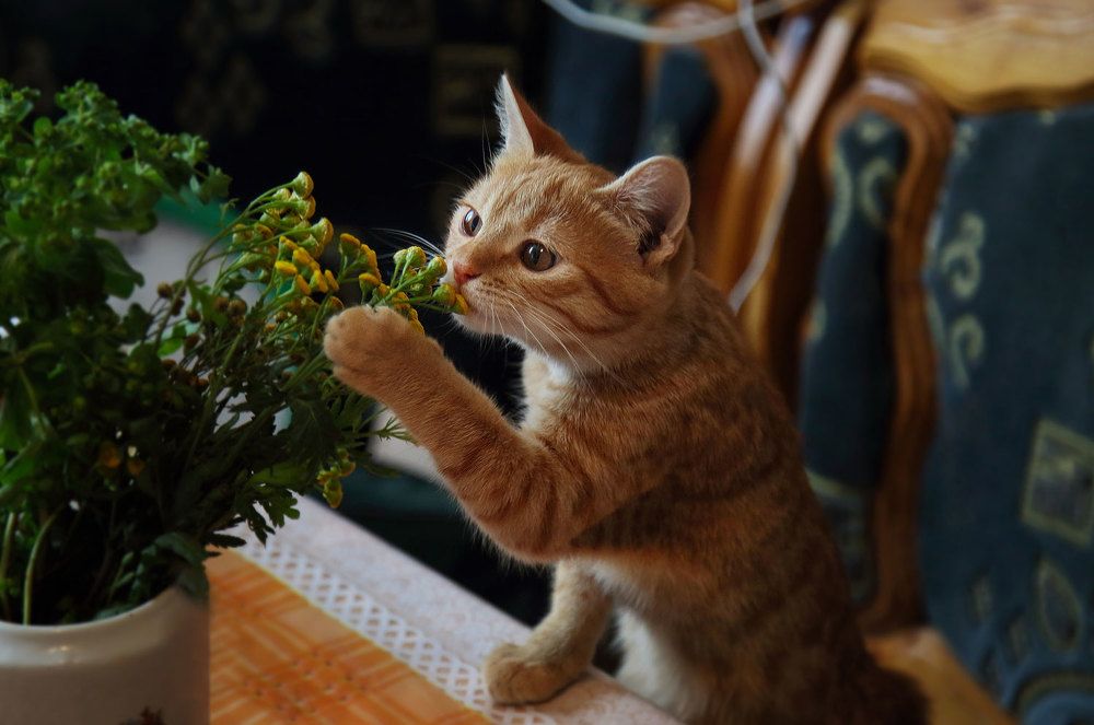 Photograph by Любовь Кастрыкина