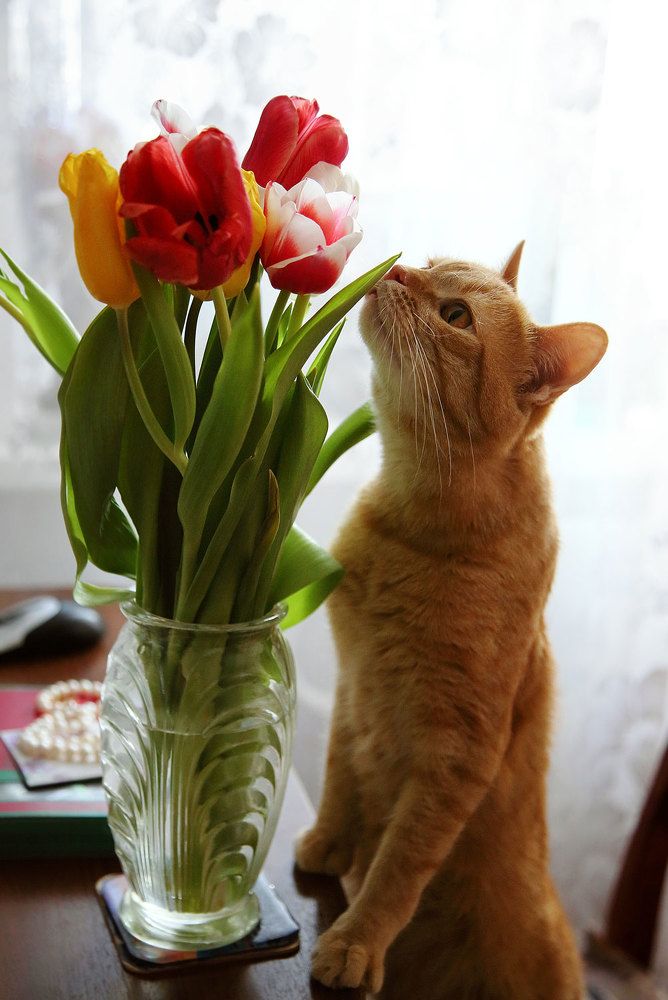 Photograph by Любовь Кастрыкина