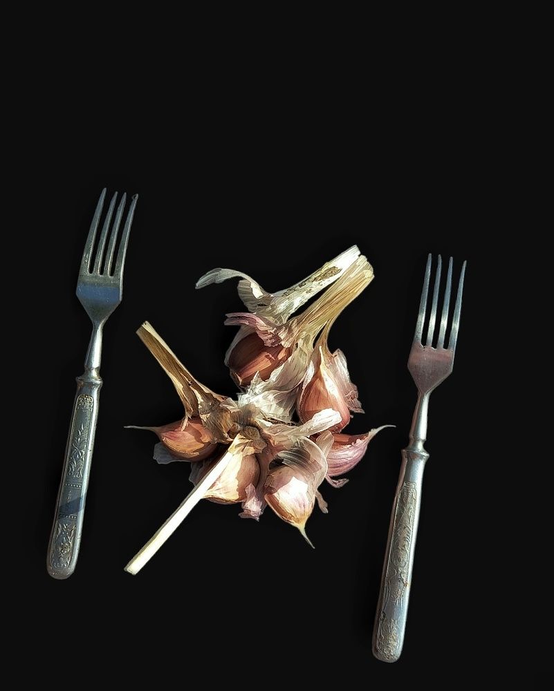 Photograph by Svetlana Yurasova