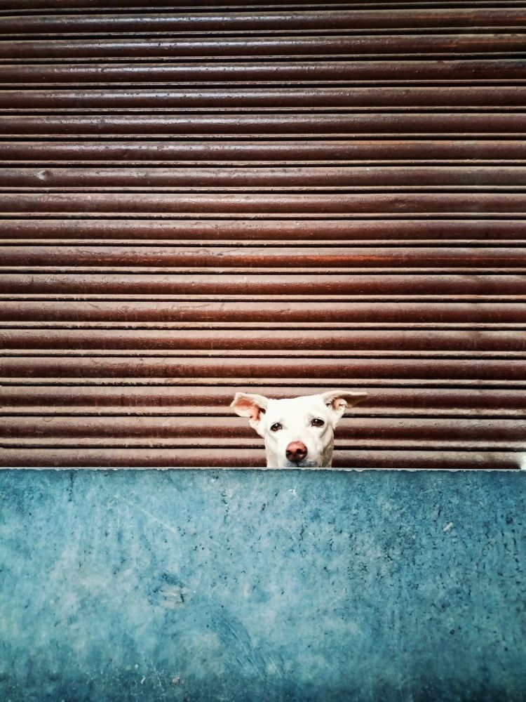 Фотография автора Monu Lalji Prajapati