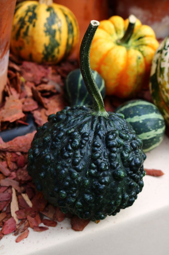 Photograph by Светлана Шуткова