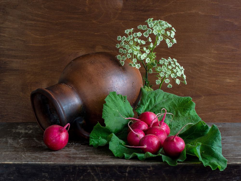 Дачная жизнь