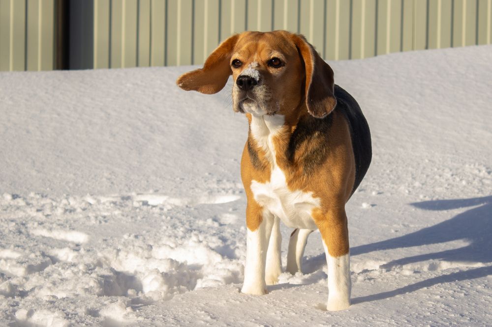 Photograph by Виолетта Митякина