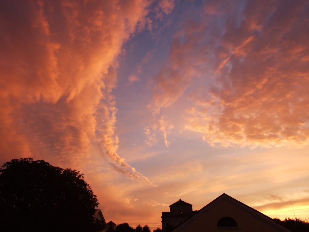 Photo #9815152