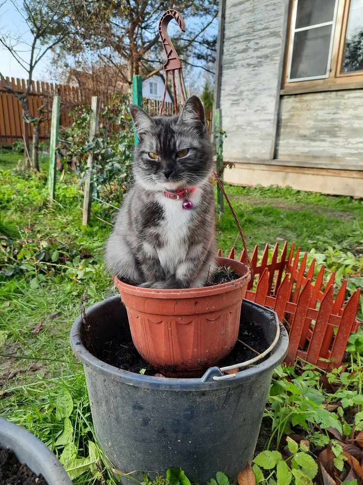 Photograph by Суетинов Евгений