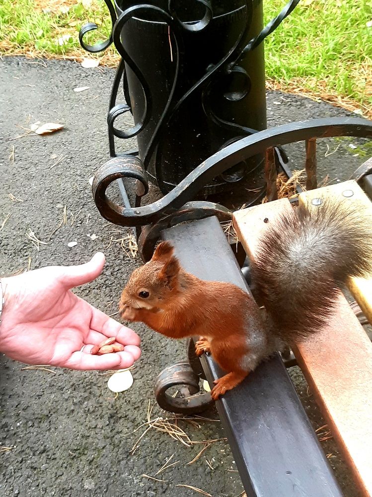 Фотография автора Наталья Шендяпина