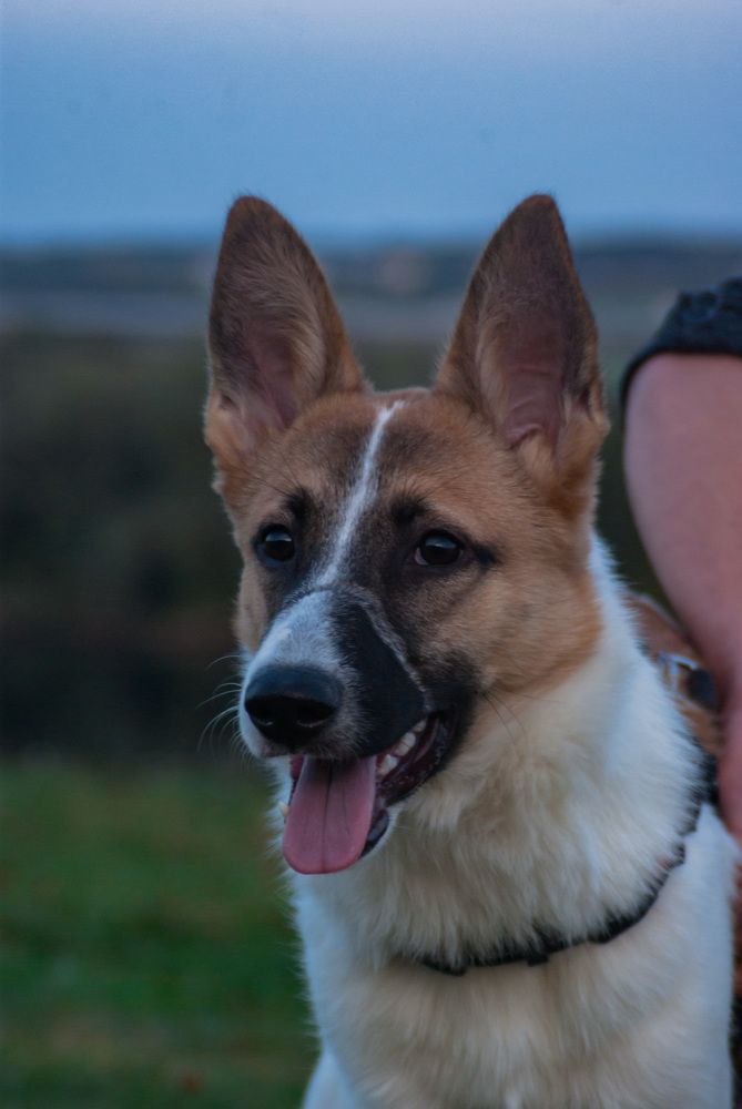 Photograph by Виолетта Митякина