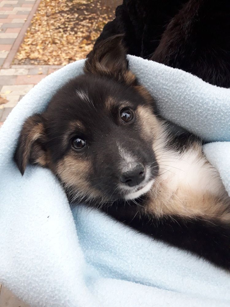 Photograph by Суетинов Евгений