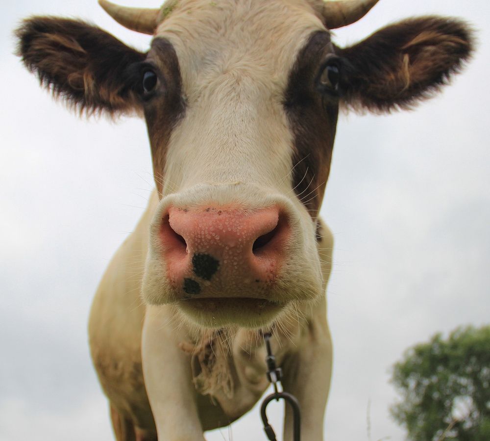 Photograph by Суетинов Евгений