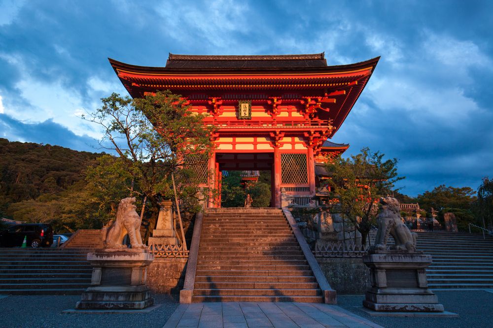 Фотография автора Dmitry Shterenberg