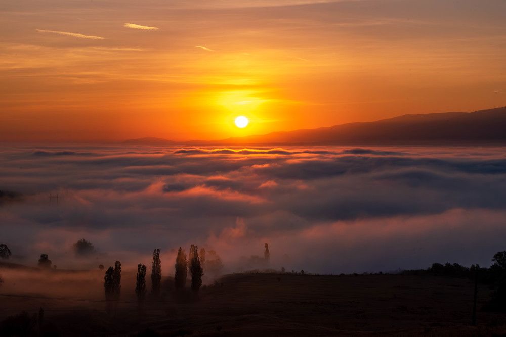 Photograph by Hoandra Ilie