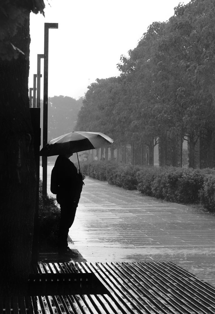 Photograph by Сергей Кошин