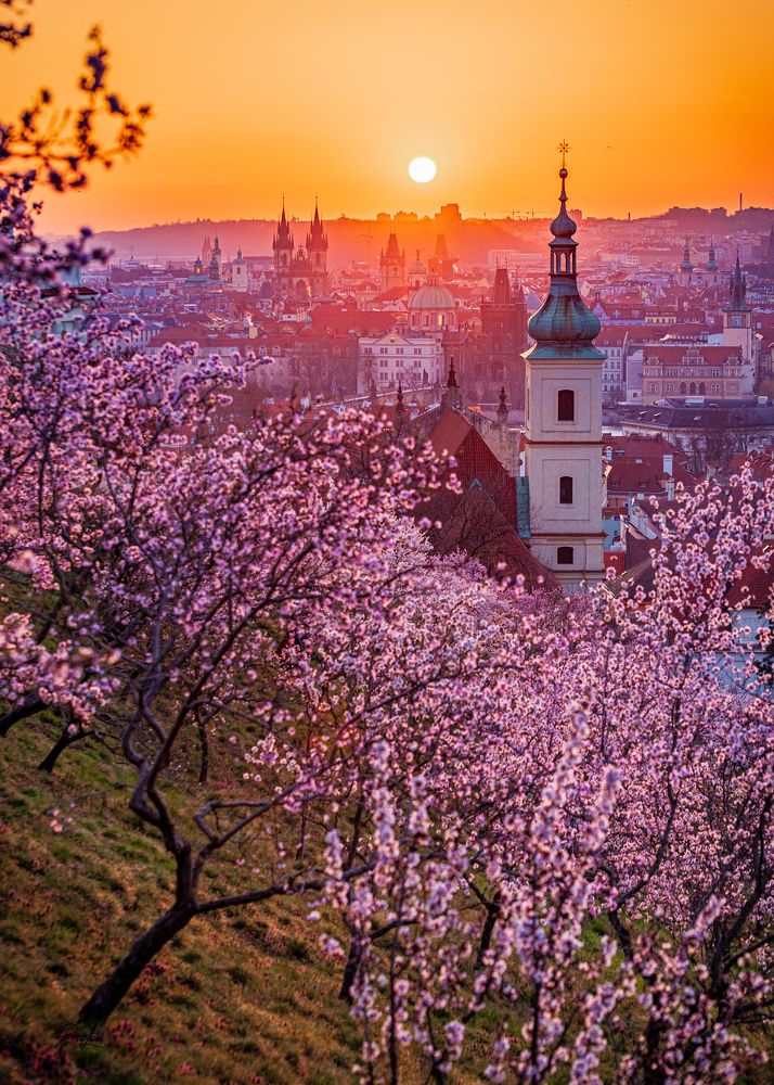 Photograph by Phi Hung