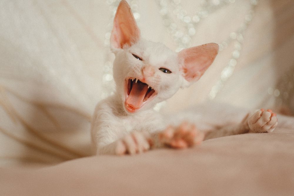 Photograph by Анна Бобкова