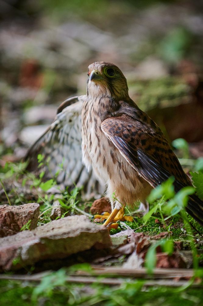 Фотография автора Александр Жданов