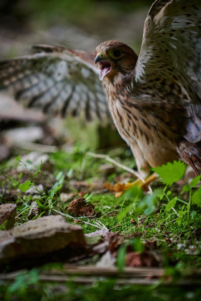 Фотография автора Александр Жданов
