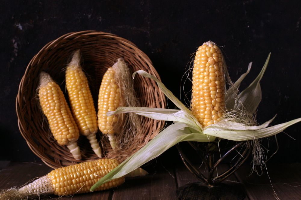 Золото осени