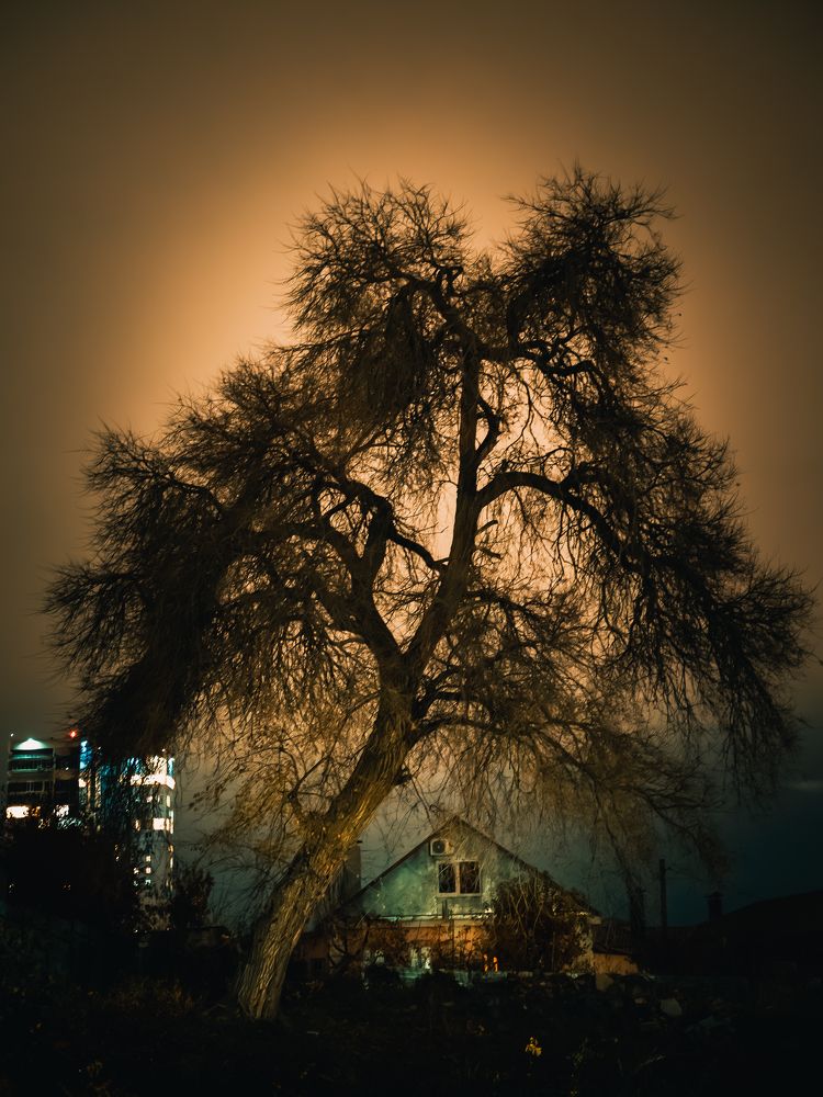 Photograph by дмитрий игнатов