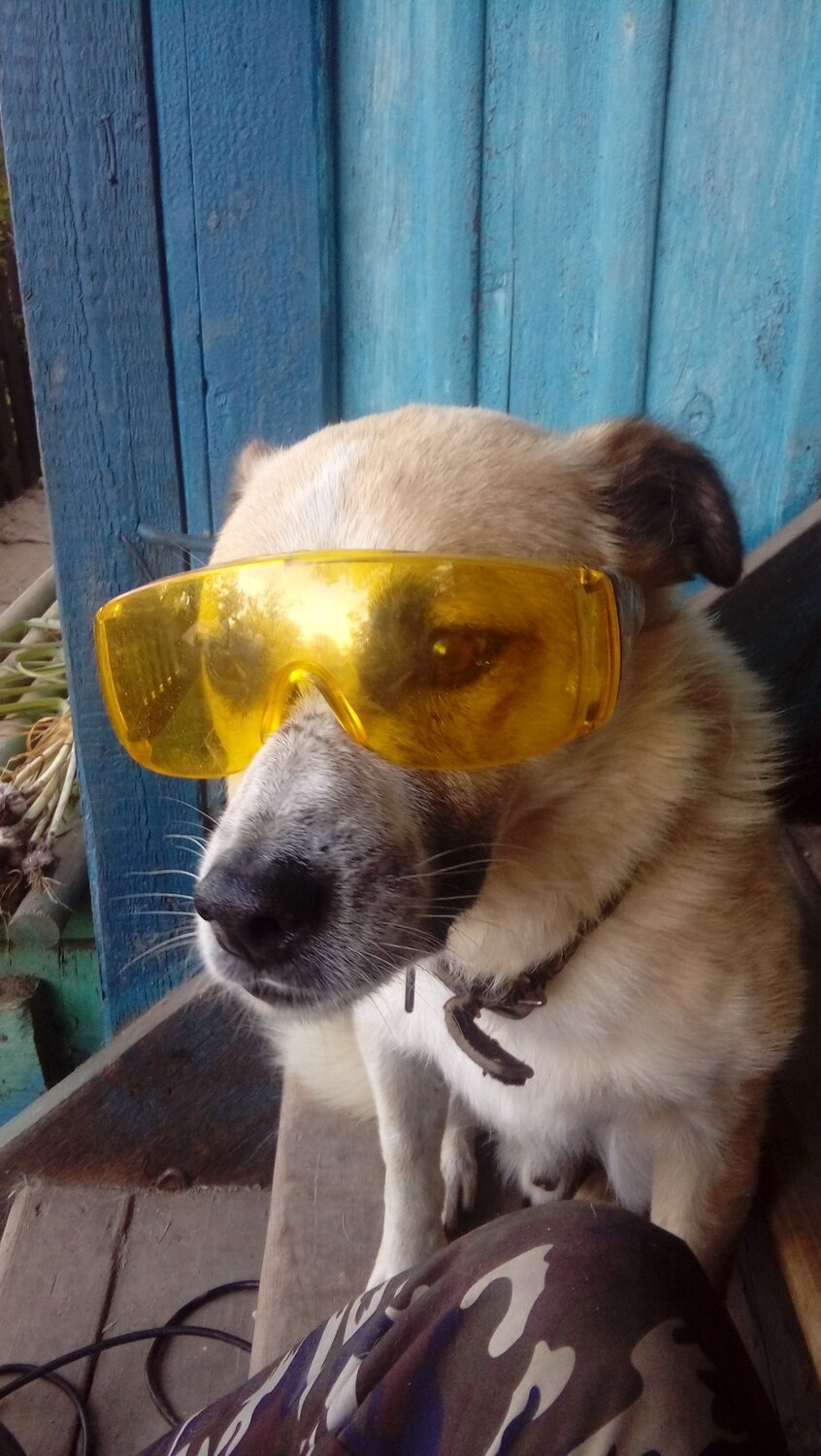 Photo #9815755