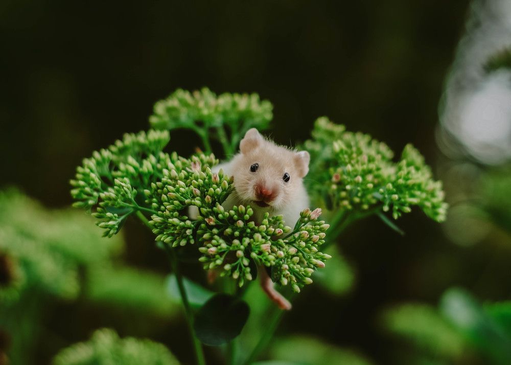 Photograph by Мария Дубова