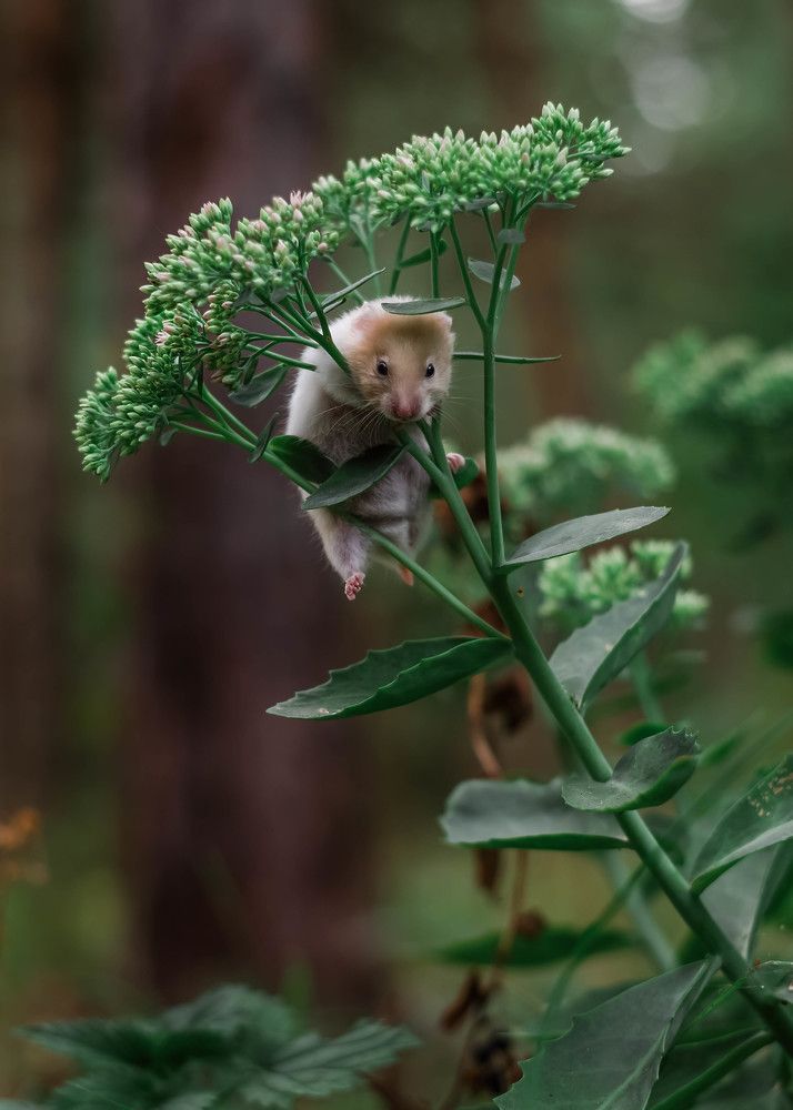 Photograph by Мария Дубова