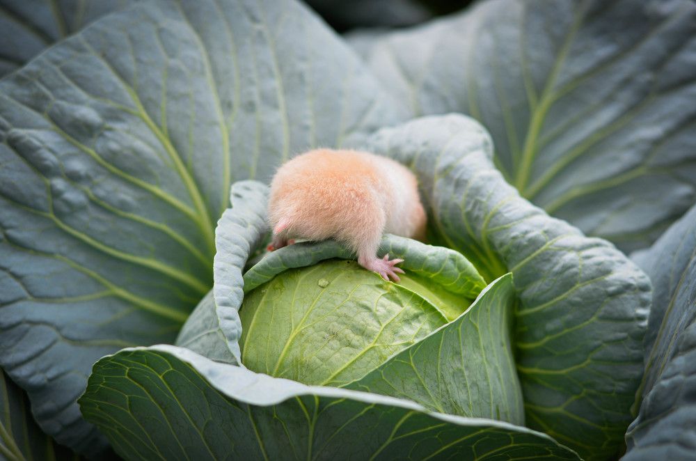 Photograph by Мария Дубова