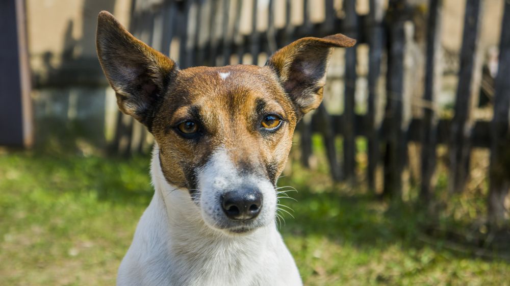 Photograph by Сергей Бабанов