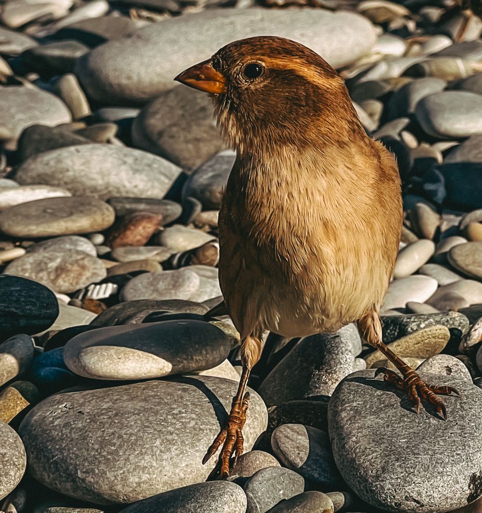 Photograph by Татьяна Михайловна