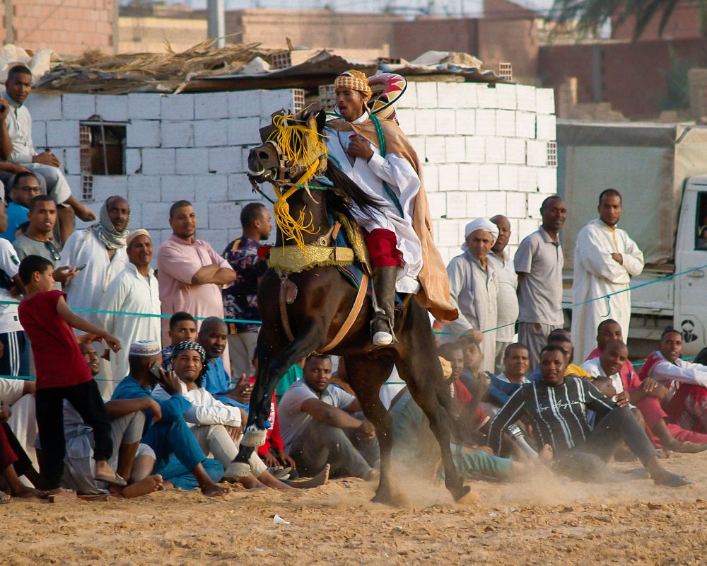 Photograph by Mohammed Faouzi Fethallah