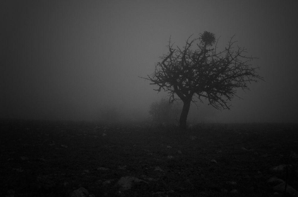 Photograph by Дерезюк Юрий Александрович