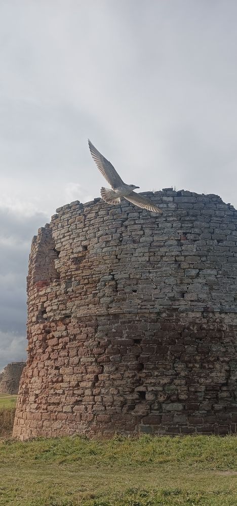 Photograph by Андрей