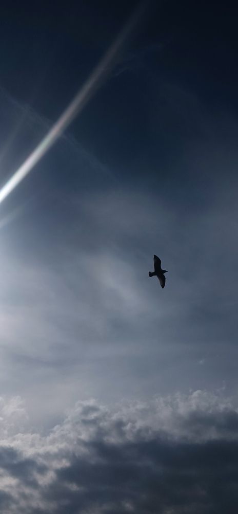 Photograph by Андрей