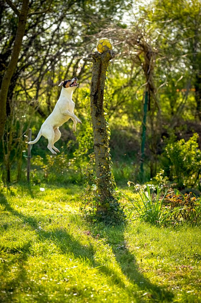 Photograph by Samir Kurtagić