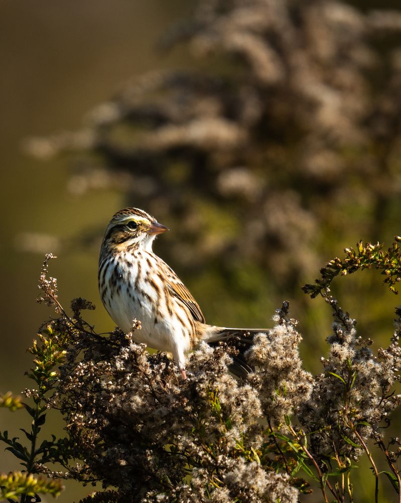 Photograph by Vadim Heinz