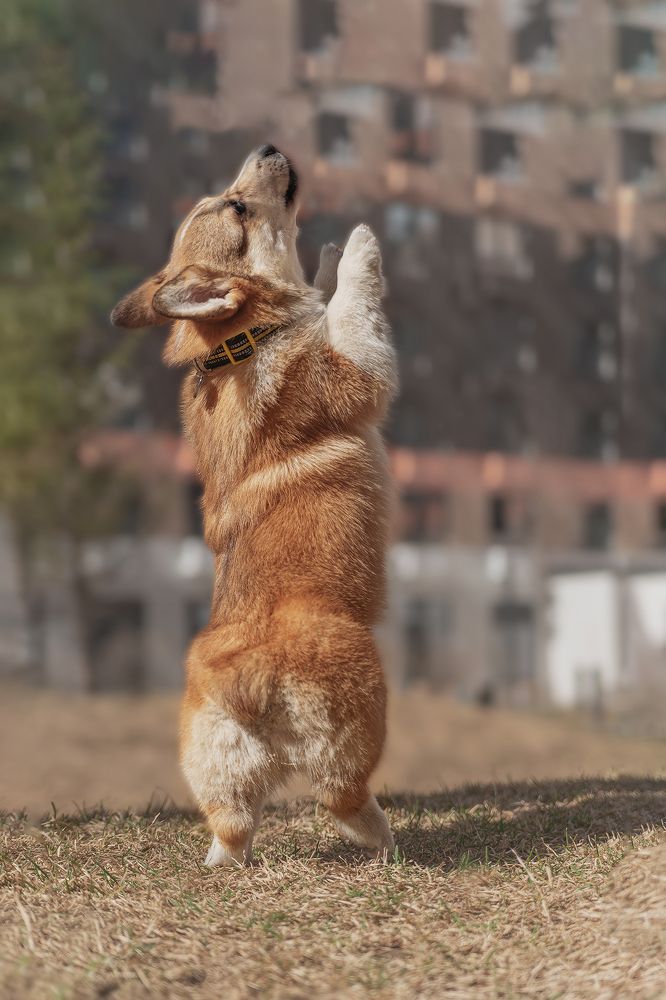 Photograph by Olga Matveeva