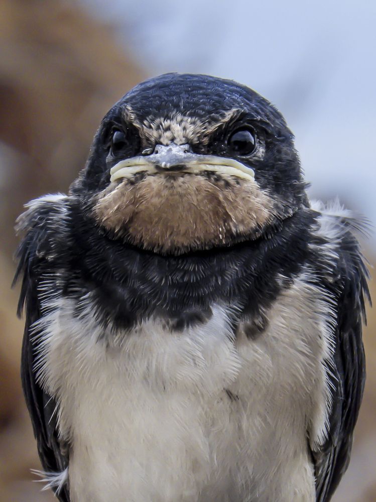 Photograph by Виктор Карпухин