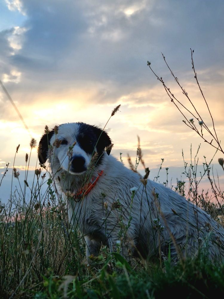 Photograph by Любовь Прохода