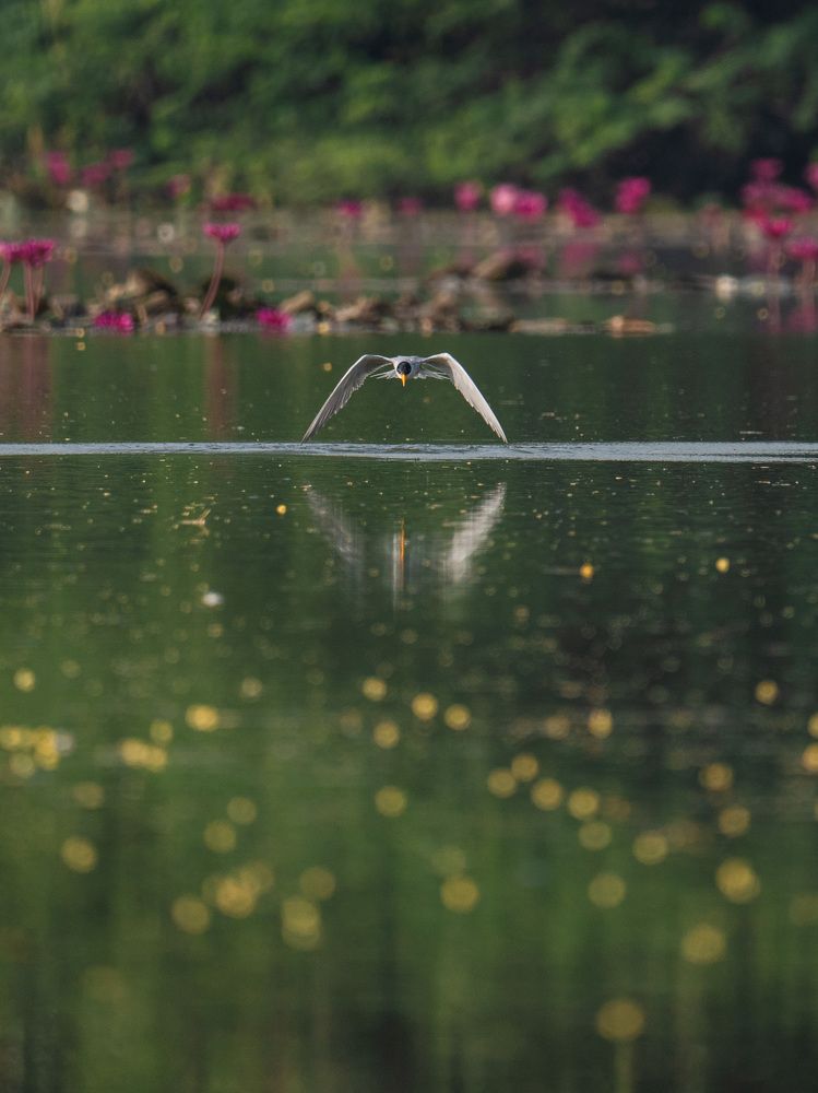 Photograph by Avkash Chevli