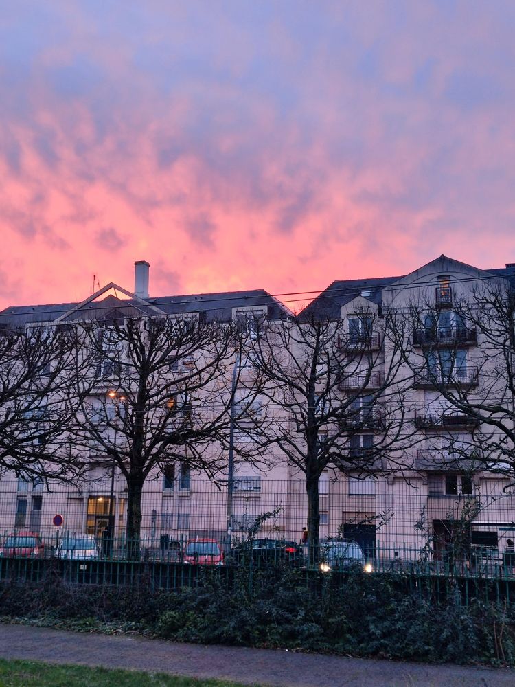 Photograph by Аlina BRAZIUL