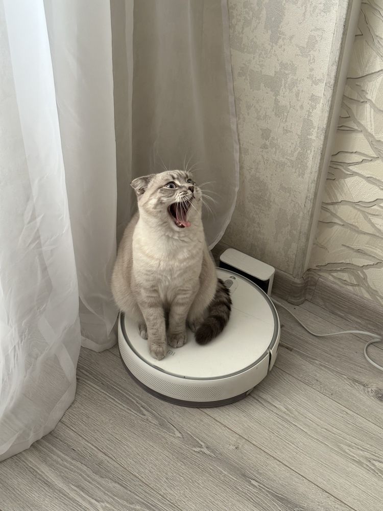 Photograph by Анастасия